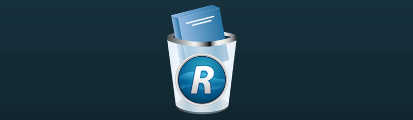 Revo Uninstaller Pro indir