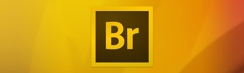 Adobe Bridge 2026 indir
